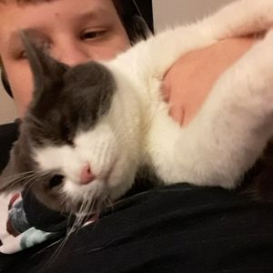 Meet your Posher, Dillon